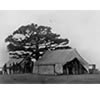 Reenactment Headquarters