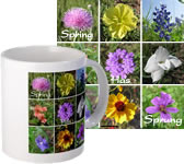 Texas Wildflowers Mug